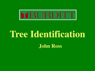 Tree Identification 				John Ross