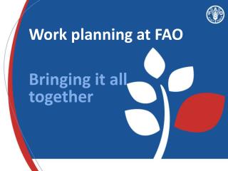 Work planning at FAO