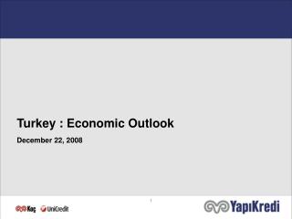 Turkey : Economic Outlook December 22, 2008