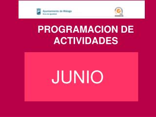 PROGRAMACION DE ACTIVIDADES