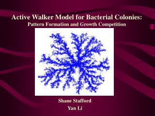 Active Walker Model for Bacterial Colonies: Pattern Formation and Growth Competition