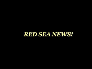 RED SEA NEWS!