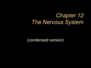 Chapter 12 The Nervous System