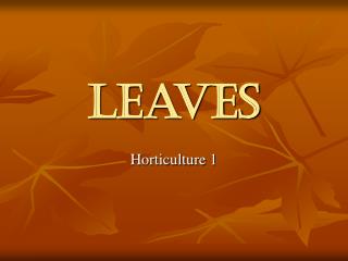 Leaves