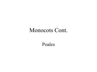 Monocots Cont.