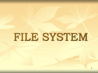 FILE SYSTEM