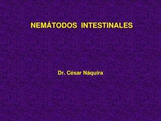 NEM Á TODOS INTESTINALES