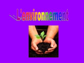 L'environnement