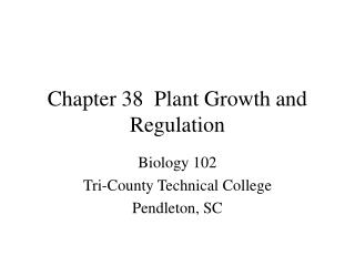 Chapter 38 Plant Growth and Regulation
