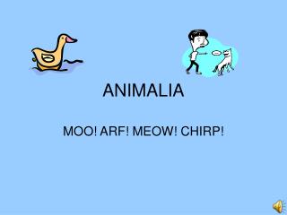 ANIMALIA