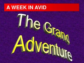 A WEEK IN AVID