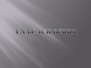 LA BLACK BERRY