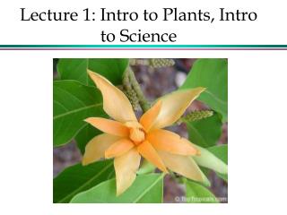 Lecture 1: Intro to Plants, Intro to Science