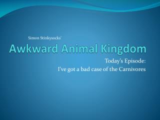 Awkward Animal Kingdom