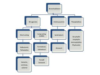 pharmacology-of-asthma