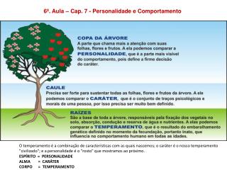 6ª. Aula – Cap. 7 - Personalidade e Comportamento