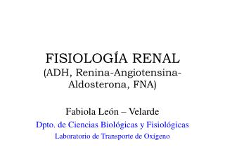 FISIOLOGÍA RENAL (ADH, Renina-Angiotensina-Aldosterona, FNA)