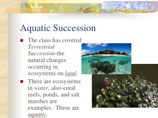 Aquatic Succession