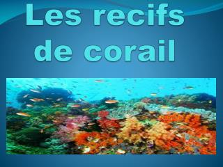 Les recifs de corail