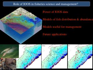 Role of IOOS in fisheries science and management?