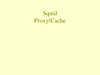 Squid Proxy/Cache