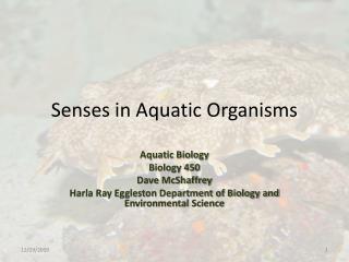 Senses in Aquatic Organisms