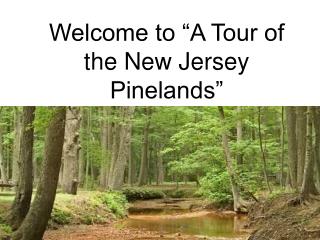 Welcome to “A Tour of the New Jersey Pinelands”