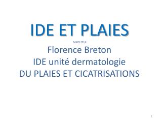 IDE ET PLAIES MARS 2014 Florence Breton IDE unité dermatologie DU PLAIES ET CICATRISATIONS