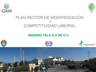 PLAN RECTOR DE MODERNIZACIÓN Y COMPETITIVIDAD LABORAL