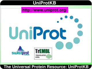 The Universal Protein Resource: UniProtKB