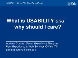 What is USABILITY and why should I care?