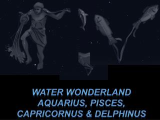 Water WonderlanD Aquarius, Pisces, Capricornus &amp; Delphinus