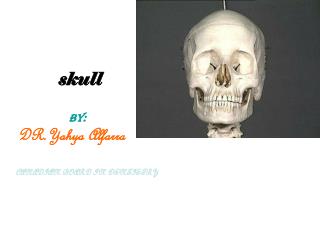 skull BY: DR.Yahya Alfarra CANADIAN BOARD IN DENTISTRY