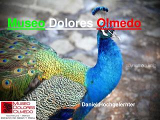 Museo Dolores Olmedo