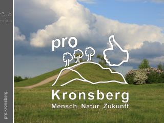 pro.kronsberg