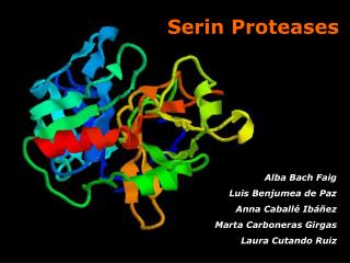 Serin Proteases