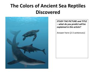 The Colors of Ancient Sea Reptiles Discovered