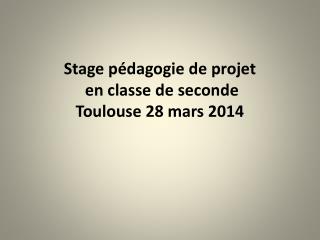 Stage pédagogie de projet en classe de seconde Toulouse 28 mars 2014