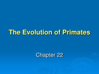The Evolution of Primates