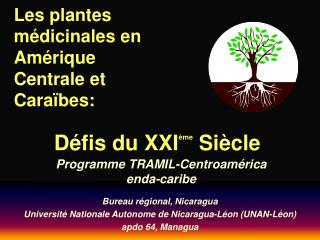 Les plantes médicinales en Amérique Centrale et Caraïbes :