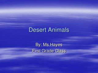 Desert Animals