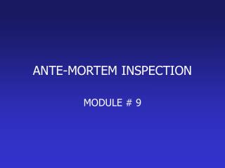 ANTE-MORTEM INSPECTION