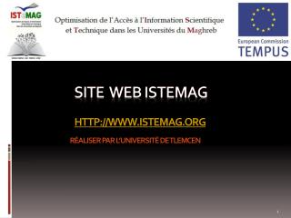 Site web istemag