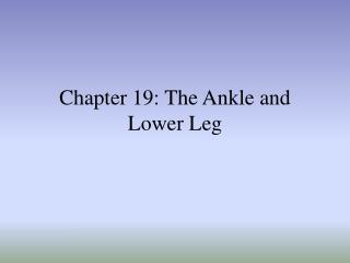 Chapter 19: The Ankle and Lower Leg