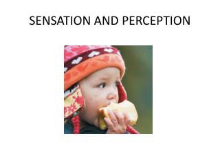 SENSATION AND PERCEPTION