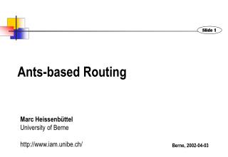 Ants-based Routing
