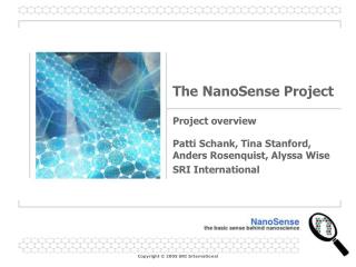 The NanoSense Project