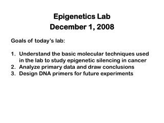 Epigenetics Lab December 1, 2008