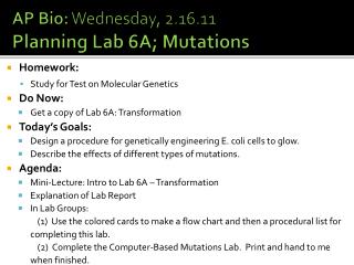 AP Bio: Wednesday, 2.16.11 Planning Lab 6A; Mutations