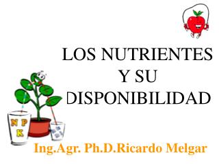 LOS NUTRIENTES Y SU DISPONIBILIDAD